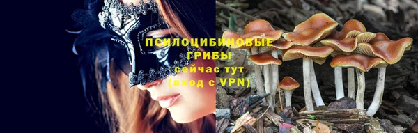 сатива Абдулино