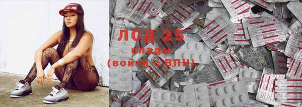 apvp Пестово