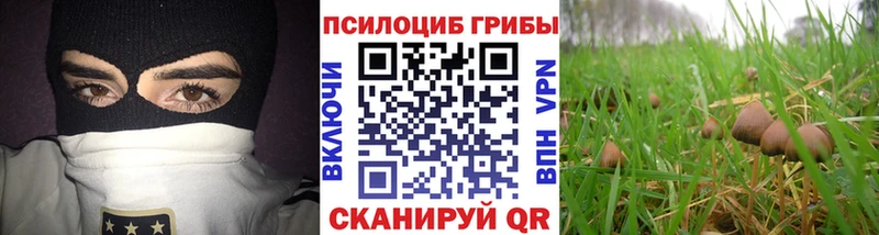 Галлюциногенные грибы Magic Shrooms  Струнино 